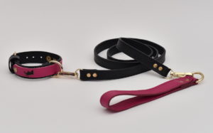 Mix and match leash